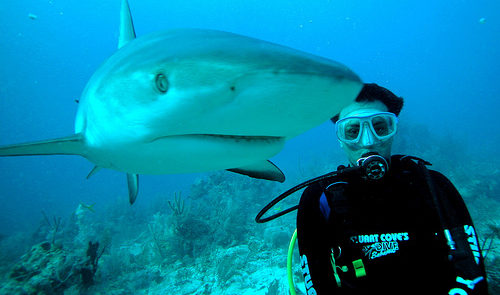 Dubai Aquarium Water Adventure