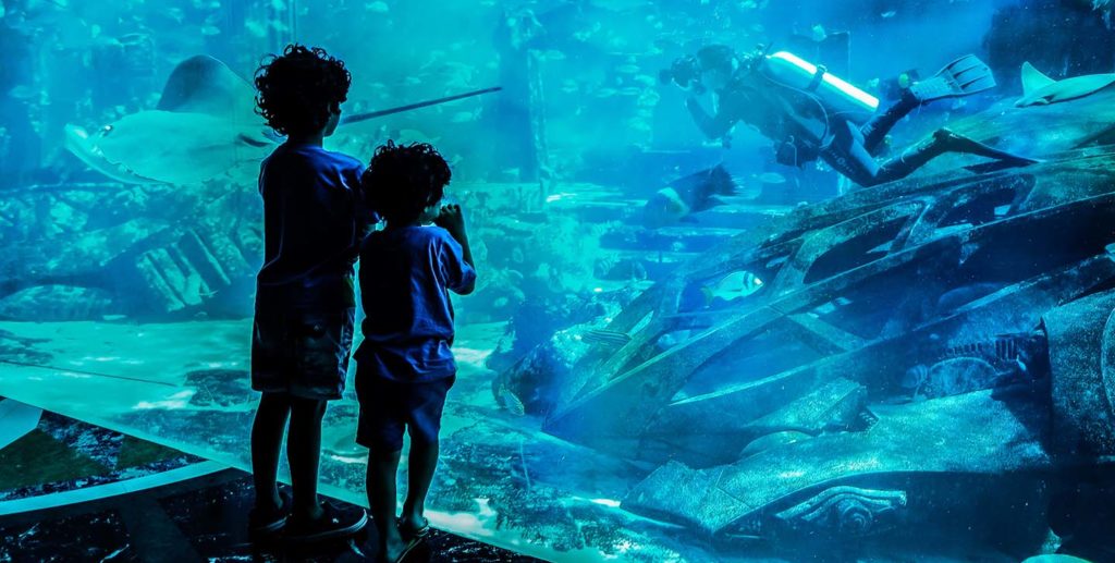 Dubai aquarium Activities