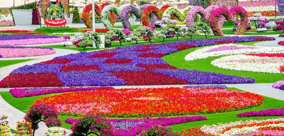 miracle garden