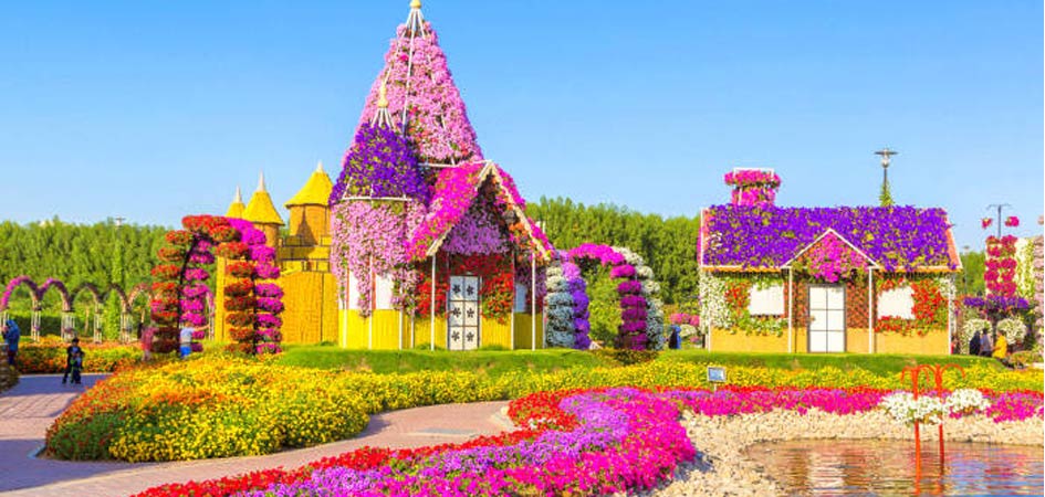 miracle garden dubai