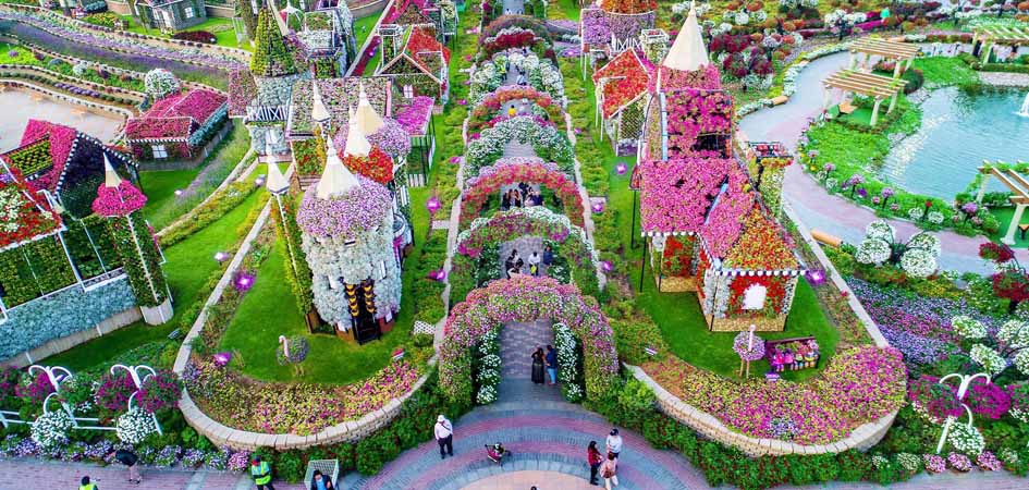 Dubai Miracle Garden