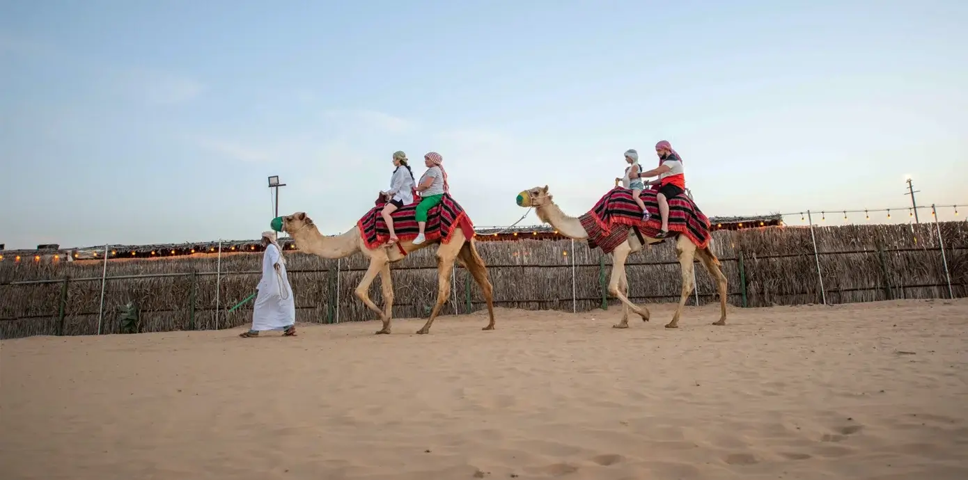 Camel Riding at Oasis Palm Tourism Campsite