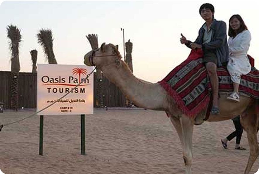oasis palms camel ride