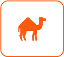 Camel Ride & Sandboarding
